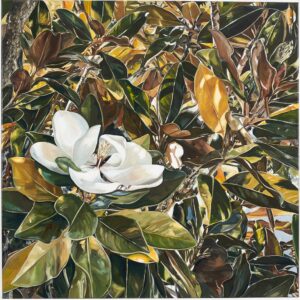 Magnolia Triptych (1 of 3)