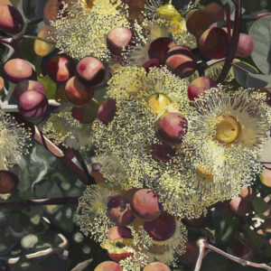 Gum Blossom