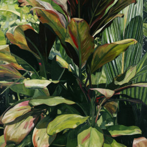 Sunshine Beach Palms