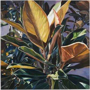 Magnolia Triptych (2 of 3)