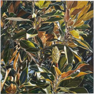 Magnolia Triptych (3 of 3)